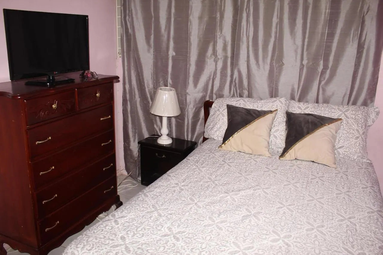 Apartament Elegant & Stylish 2Br New Kingston